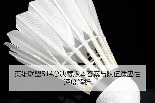 ying-xiong-lian-meng-zong-jue-sai-ban-ben-da-an-yu-dui-wu-shi-ying-xing-shen-du-jie-xi-3-286.jpg
