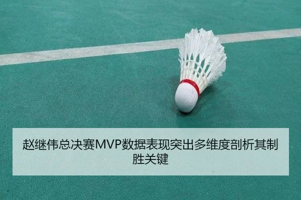 赵继伟总决赛MVP数据表现突出多维度剖析其制胜关键