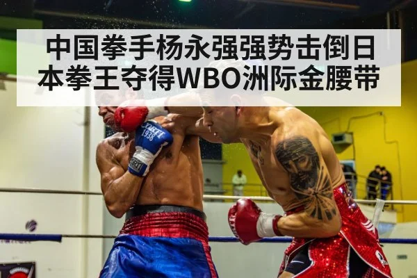 中国拳手杨永强强势击倒日本拳王夺得WBO洲际金腰带