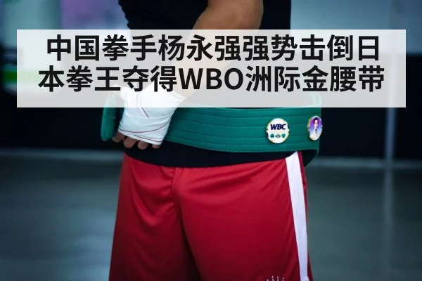 boxing championship belt